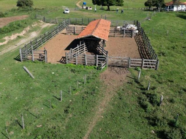 Sítio e chácara venda em Região Geográfica Imediata de Santo Antônio da Platina, Jacarezinho
