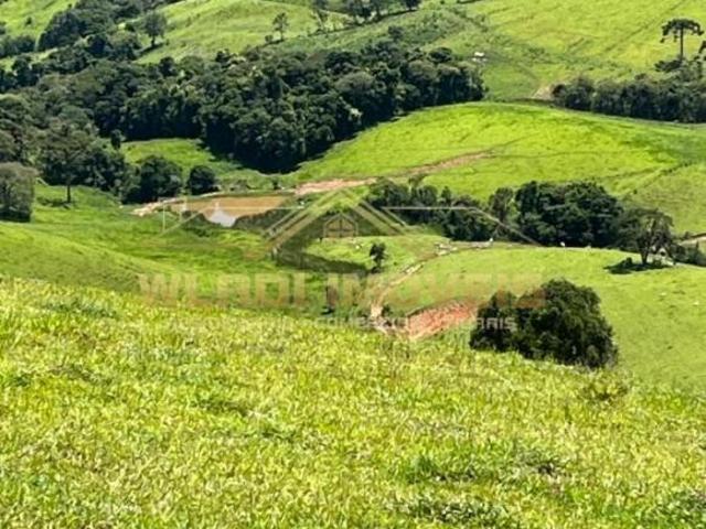 Sítio e chácara venda em Região Geográfica Imediata de Pouso Alegre, Senador Amaral