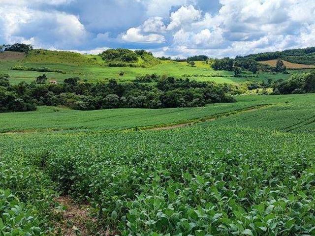 Sítio e chácara venda em Região Geográfica Imediata de Francisco Beltrão, Renascença