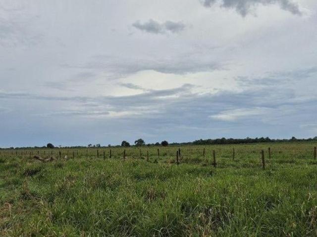 Sítio e chácara venda em Região Geográfica Imediata de Campo Grande, Campo Grande