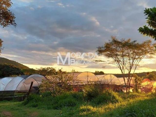 Sítio e chácara venda em Região Geográfica Imediata de Belo Horizonte, Região Metropolitana de Belo Horizonte