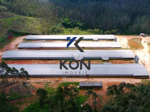 Sítio e chácara venda em Região Geográfica Imediata de Ponta Grossa, Castro
