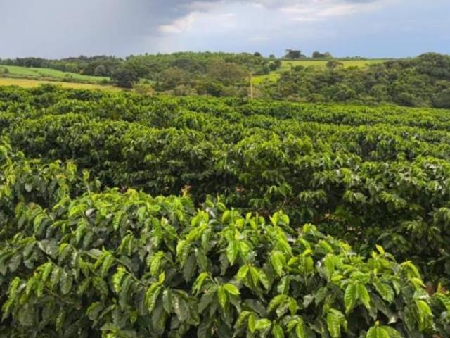 Sítio e chácara venda em Região Geográfica Imediata de São Sebastião do Paraíso, Monte Santo de Minas
