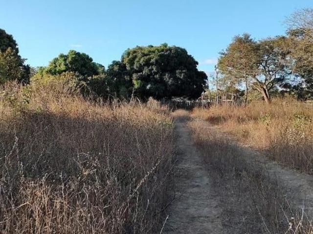 Sítio e chácara venda em Grão Mogol, Região Geográfica Intermediária de Montes Claros