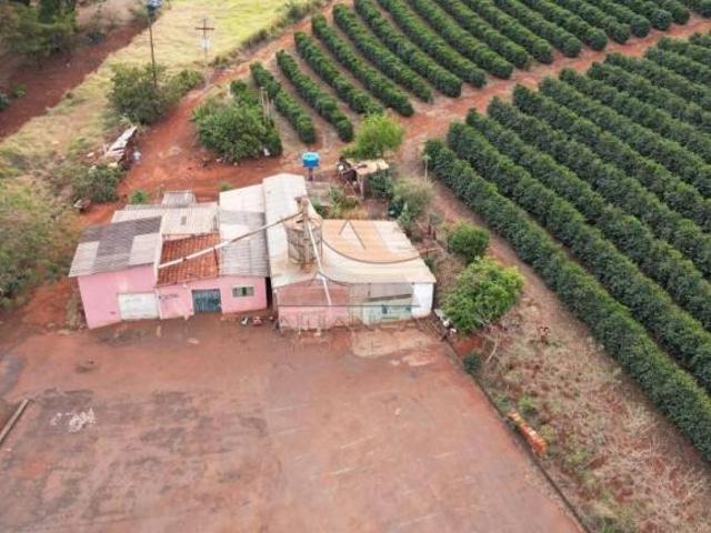 Sítio e chácara venda em Região Imediata de Ribeirão Preto, Região Metropolitana de Ribeirão Preto
