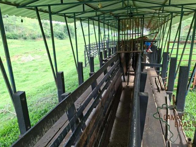 Sítio e chácara venda em Cohab Bandeirantes, Guaratinguetá