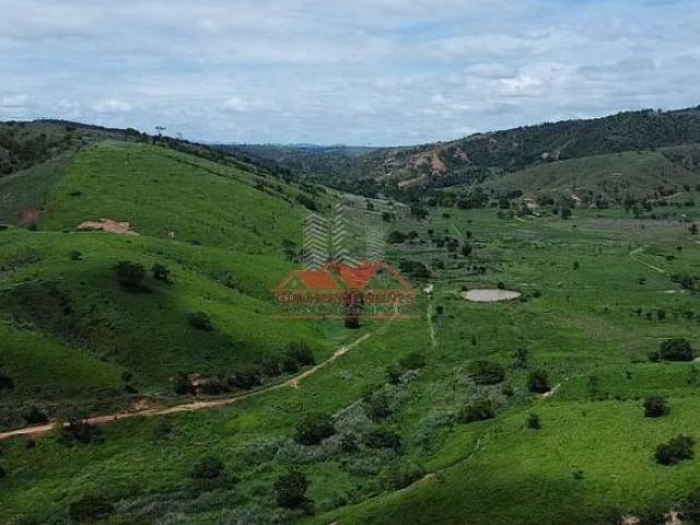 Sítio e chácara venda em Região Geográfica Imediata de Governador Valadares, Galiléia