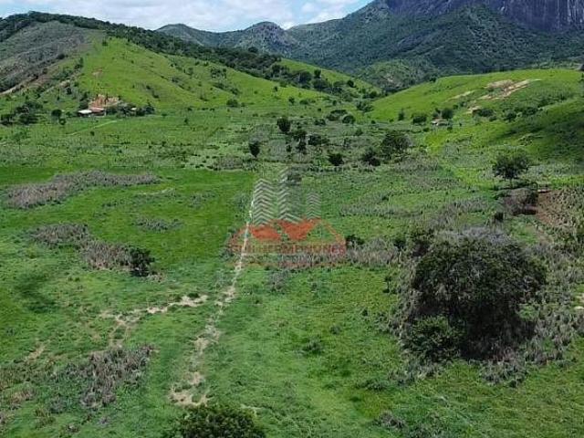 Sítio e chácara venda em Região Geográfica Imediata de Governador Valadares, Galiléia