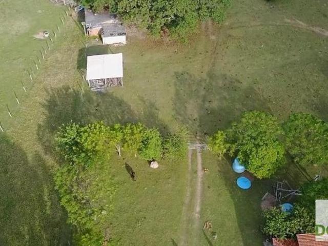 Sítio e chácara venda em Região Geográfica Imediata de Campo Grande, Corguinho