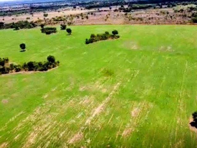 Sítio e chácara venda em Amaralina, Região Geográfica Intermediária de Porangatu-Uruaçu