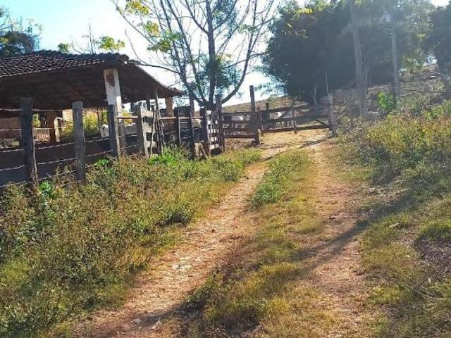 Sítio e chácara venda em Região Geográfica Imediata de Pará de Minas, Pará de Minas