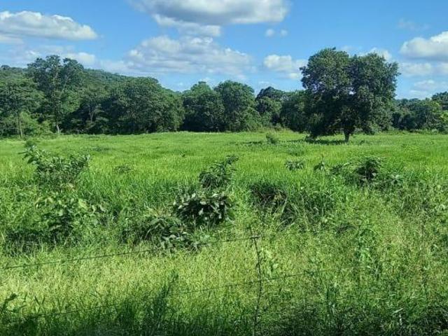 Sítio e chácara venda em Região Geográfica Imediata de São Francisco, São Francisco