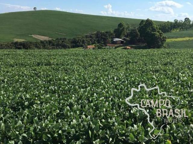 Sítio e chácara venda em Região Geográfica Imediata de Formiga, Pimenta
