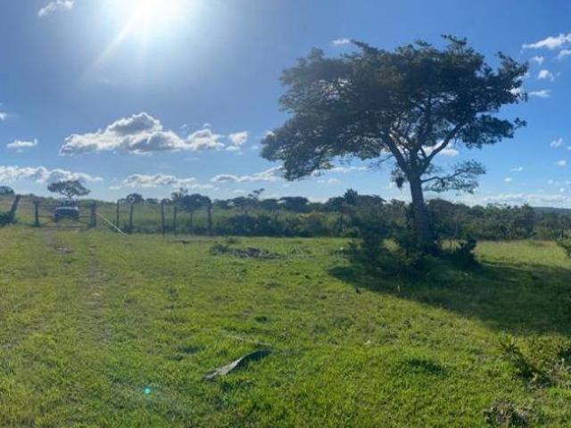 Sítio e chácara venda em Região Geográfica Imediata de Montes Claros, Francisco Sá