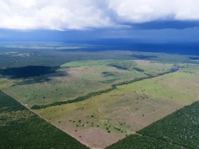 Fazenda venda em Região Geográfica Imediata de Gurupi, Dueré