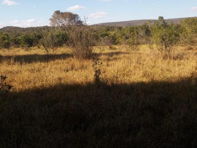 Sítio e chácara venda em Região Geográfica Imediata de Montes Claros, Francisco Sá