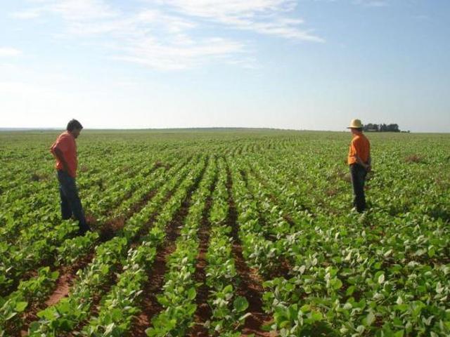 Sítio e chácara venda em Paranhos, Mato Grosso do Sul