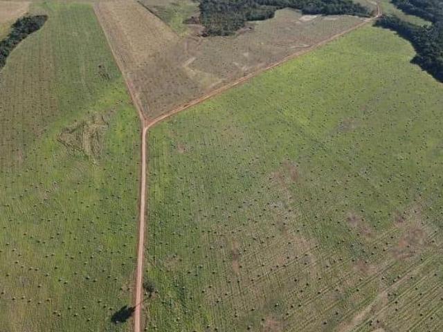 Sítio e chácara venda em Região Imediata de Marília, Garça