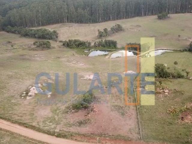 Sítio e chácara venda em Região Geográfica Imediata de Porto Alegre, Região Metropolitana de Porto Alegre