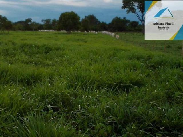 Sítio e chácara venda em Região Geográfica Imediata de Januária, Januária