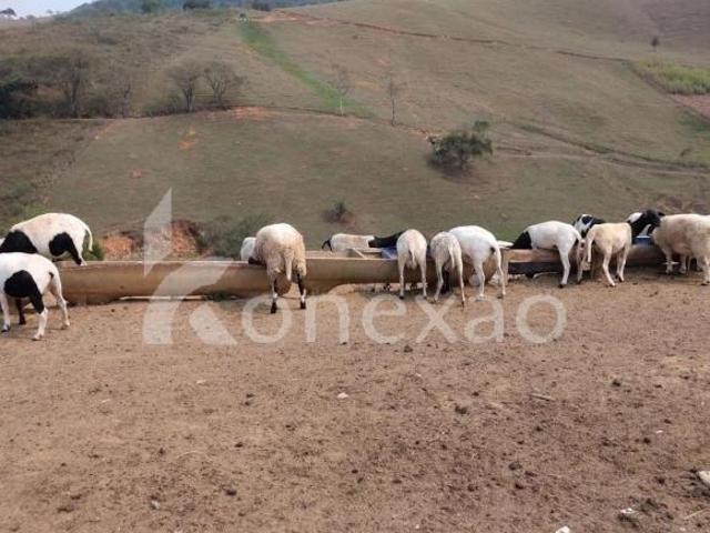 Sítio e chácara venda em Região Imediata de Taubaté-Pindamonhangaba, Região Metropolitana do Vale do Paraíba e Litoral Norte
