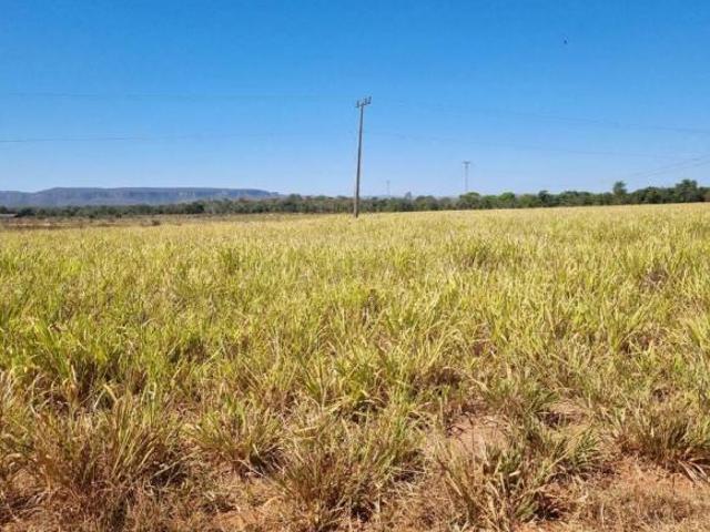 Sítio e chácara venda em Região Geográfica Imediata de Cuiabá, Região Metropolitana do Vale do Rio Cuiabá