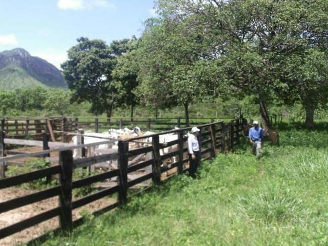 Sítio e chácara venda em Região Geográfica Imediata de Flores de Goiás, Região Integrada de Desenvolvimento do Distrito Federal e Entorno