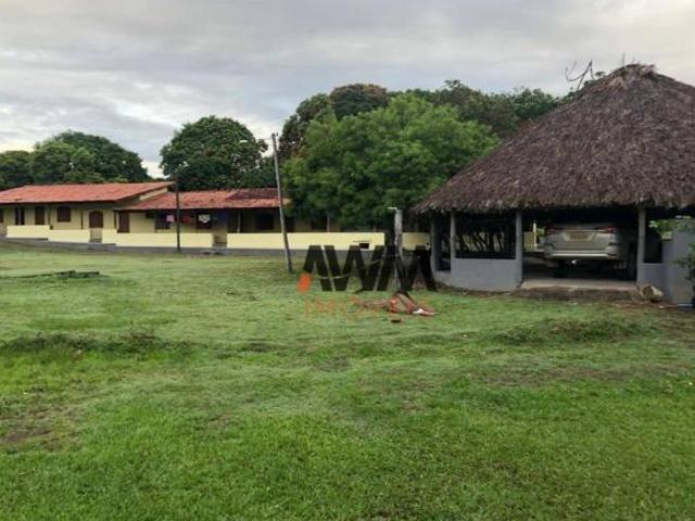 Sítio e chácara venda em Região Geográfica Imediata de Posse-Campos Belos, Monte Alegre de Goiás