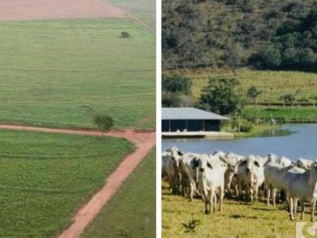 Sítio e chácara venda em Região Geográfica Imediata de Goiânia, Bela Vista de Goiás