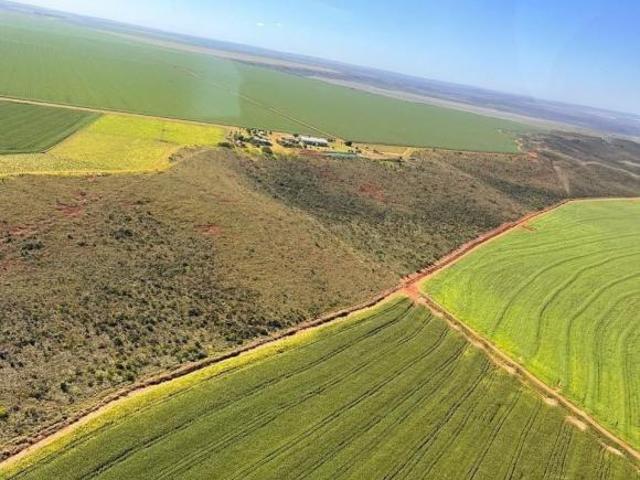 Sítio e chácara venda em Região Geográfica Imediata de Tangará da Serra, Tangará da Serra