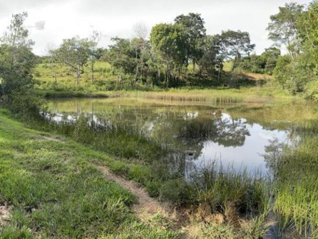 Sítio e chácara venda em Região Geográfica Imediata de Iporá, Montes Claros de Goiás