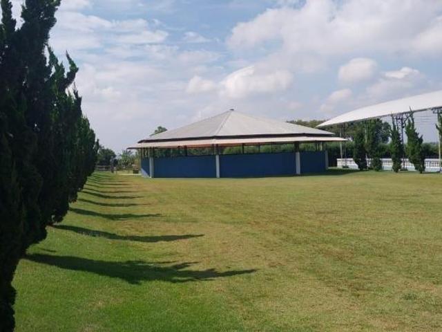 Sítio e chácara venda em Jardim Tonico Vieira, Quadra