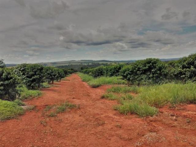 Sítio e chácara venda em Região Geográfica Imediata de Formiga, Pimenta
