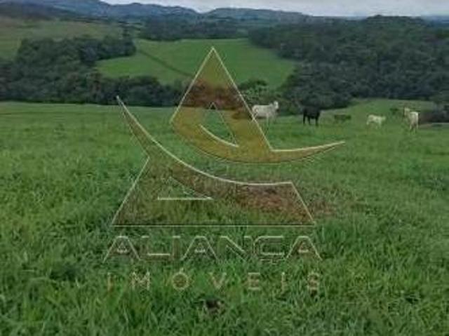 Sítio e chácara venda em Região Geográfica Imediata de Passos, Cássia