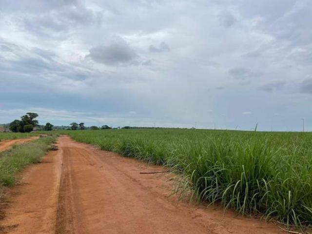 Sítio e chácara venda em Região Imediata de Araraquara, Araraquara