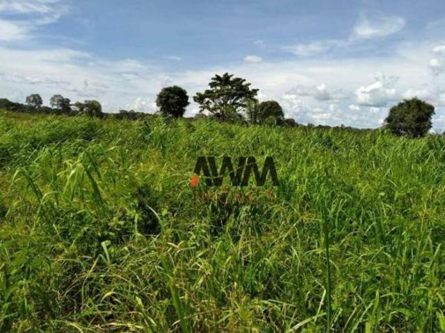 Sítio e chácara venda em Região Geográfica Imediata de Inhumas - Itaberaí - Anicuns, Itauçu