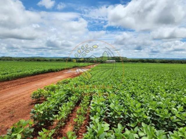 Sítio e chácara venda em Região Geográfica Imediata de Água Boa, Água Boa