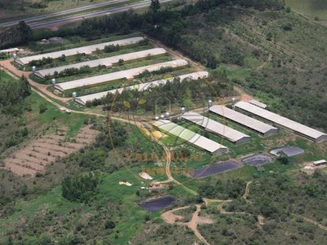 Sítio e chácara venda em Região Geográfica Imediata do Distrito Federal, Região Integrada de Desenvolvimento do Distrito Federal e Entorno