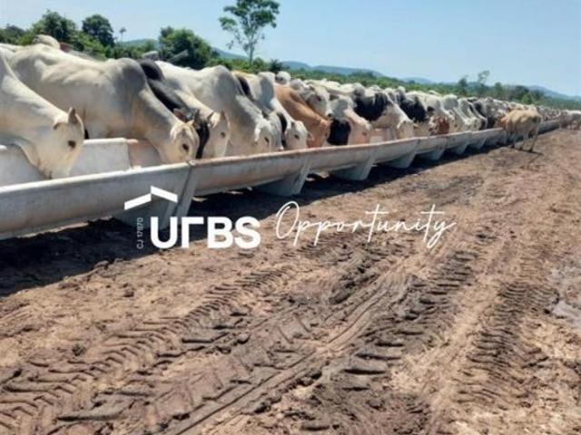 Sítio e chácara venda em Região Geográfica Imediata de Inhumas - Itaberaí - Anicuns, Americano do Brasil