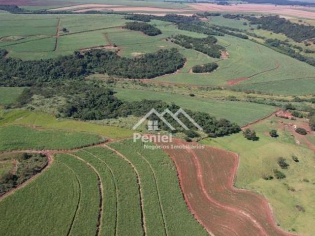 Sítio e chácara venda em Região Imediata de Ribeirão Preto, Região Metropolitana de Ribeirão Preto