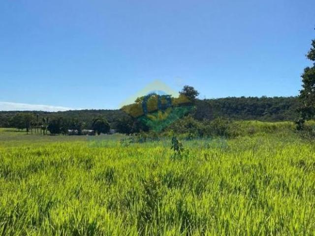 Sítio e chácara venda em Região Geográfica Imediata de Coxim, Rio Verde de Mato Grosso