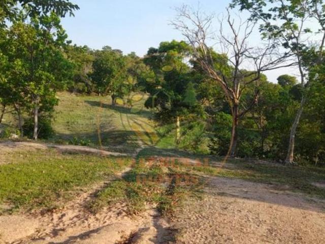 Sítio e chácara venda em Região Geográfica Imediata de Campo Grande, Campo Grande