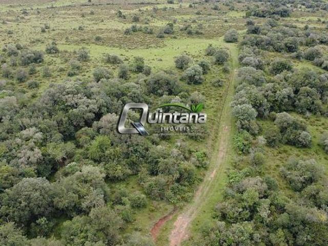 Sítio e chácara venda em Região Geográfica Imediata de Bagé, Pinheiro Machado