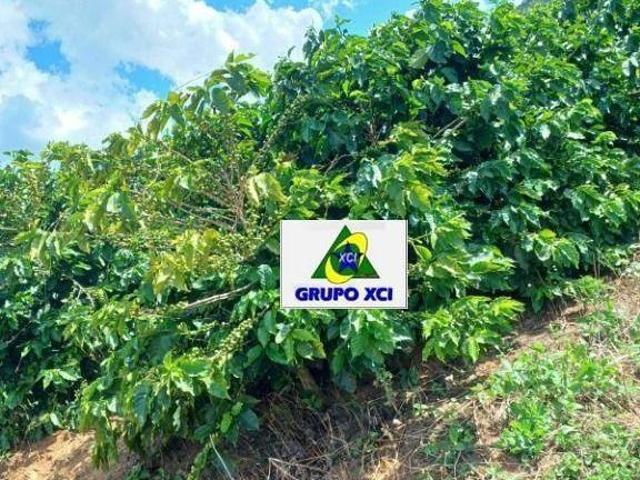 Sítio e chácara venda em Região Geográfica Imediata de Pouso Alegre, Ouro Fino