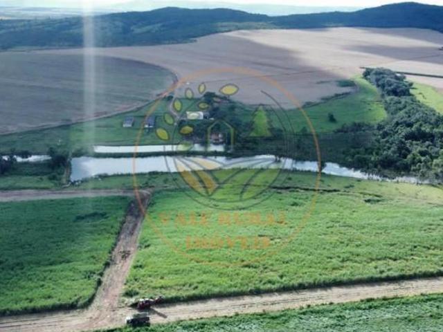 Sítio e chácara venda em Região Geográfica Imediata de Rio Verde, Rio Verde