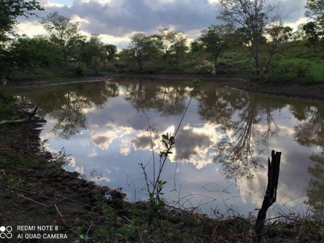 Sítio e chácara venda em Região Geográfica Imediata de Montes Claros, Claro dos Poções