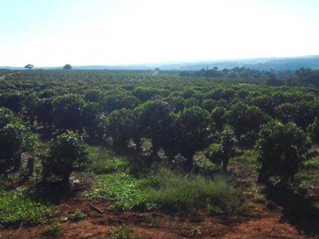 Sítio e chácara venda em Região Geográfica Imediata de Piumhi, Jerumenha