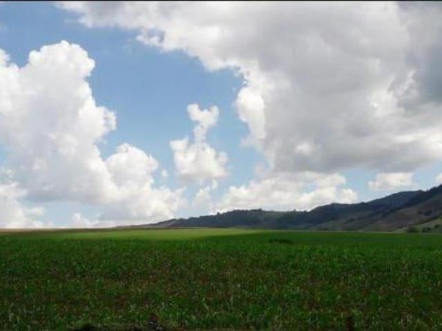 Sítio e chácara venda em Região Imediata de Amparo, Serra Negra
