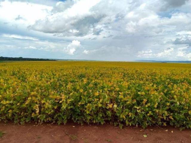 Sítio e chácara venda em Região Geográfica Imediata de Água Boa, Gaúcha do Norte