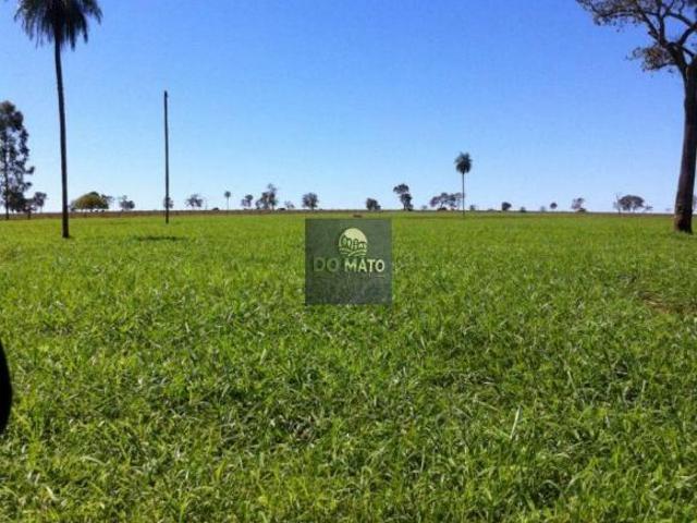 Sítio e chácara venda em Região Geográfica Imediata de Campo Grande, Dois Irmãos do Buriti